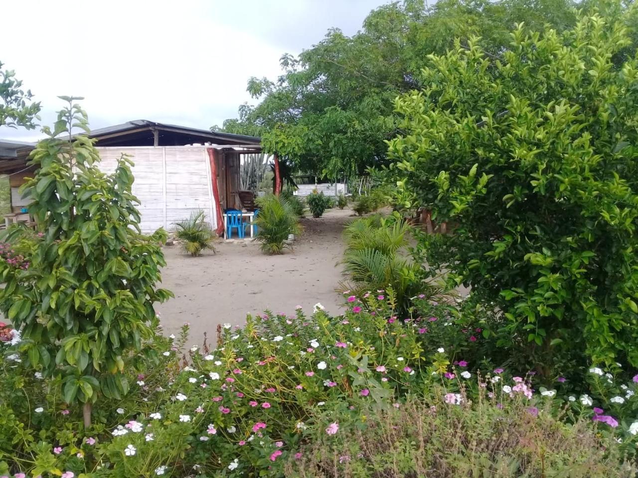 Pachingo La Primavera Villavieja Quarto foto